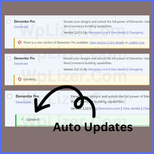 elementor pro with auto updates