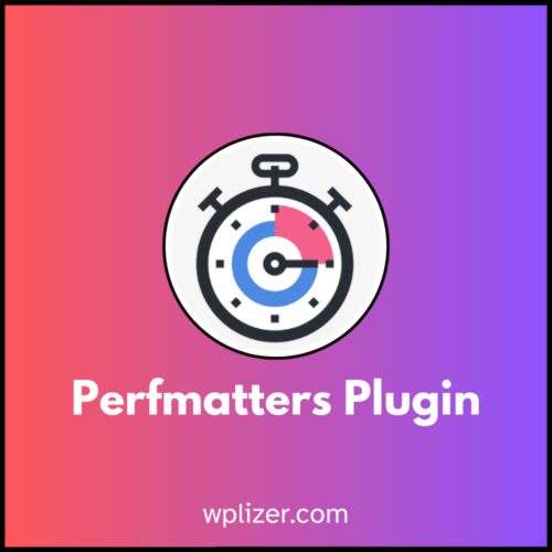 Perfmatters Plugin With License Key